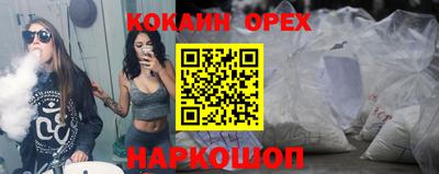 шишки Камышлов