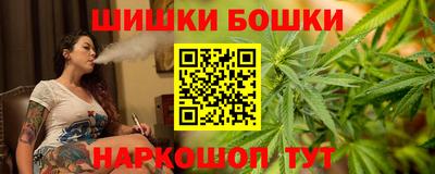 шишки Камышлов