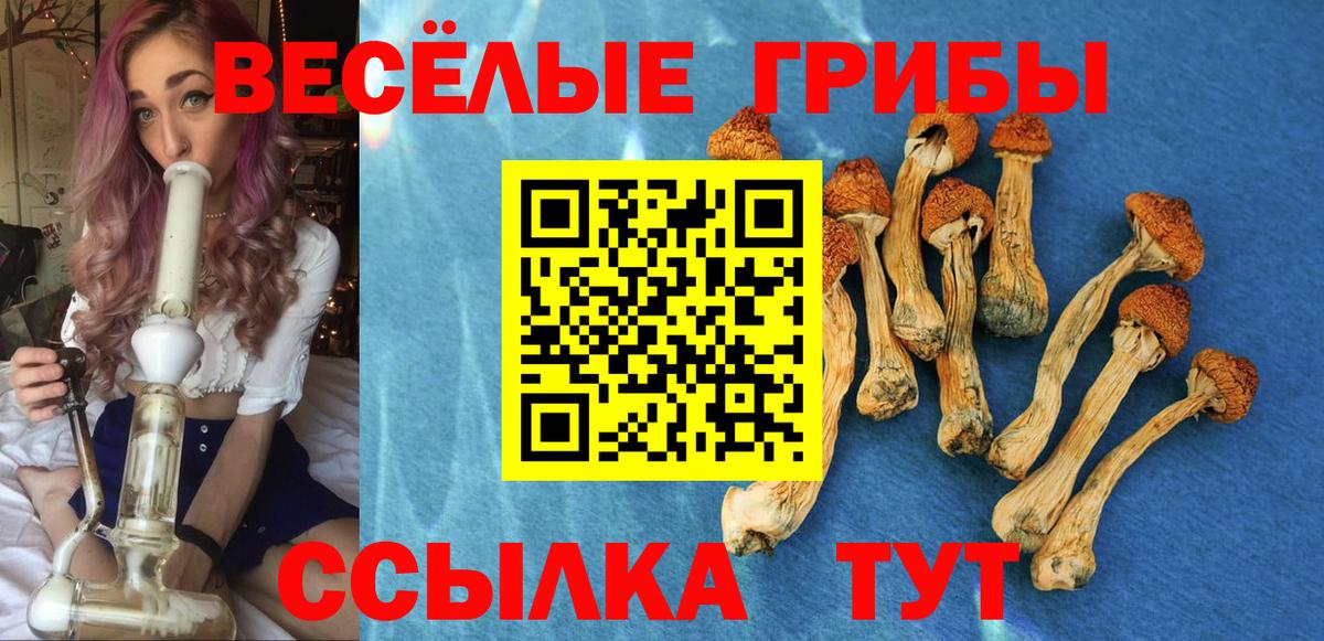 Псилоцибиновые грибы мухоморы Луховицы